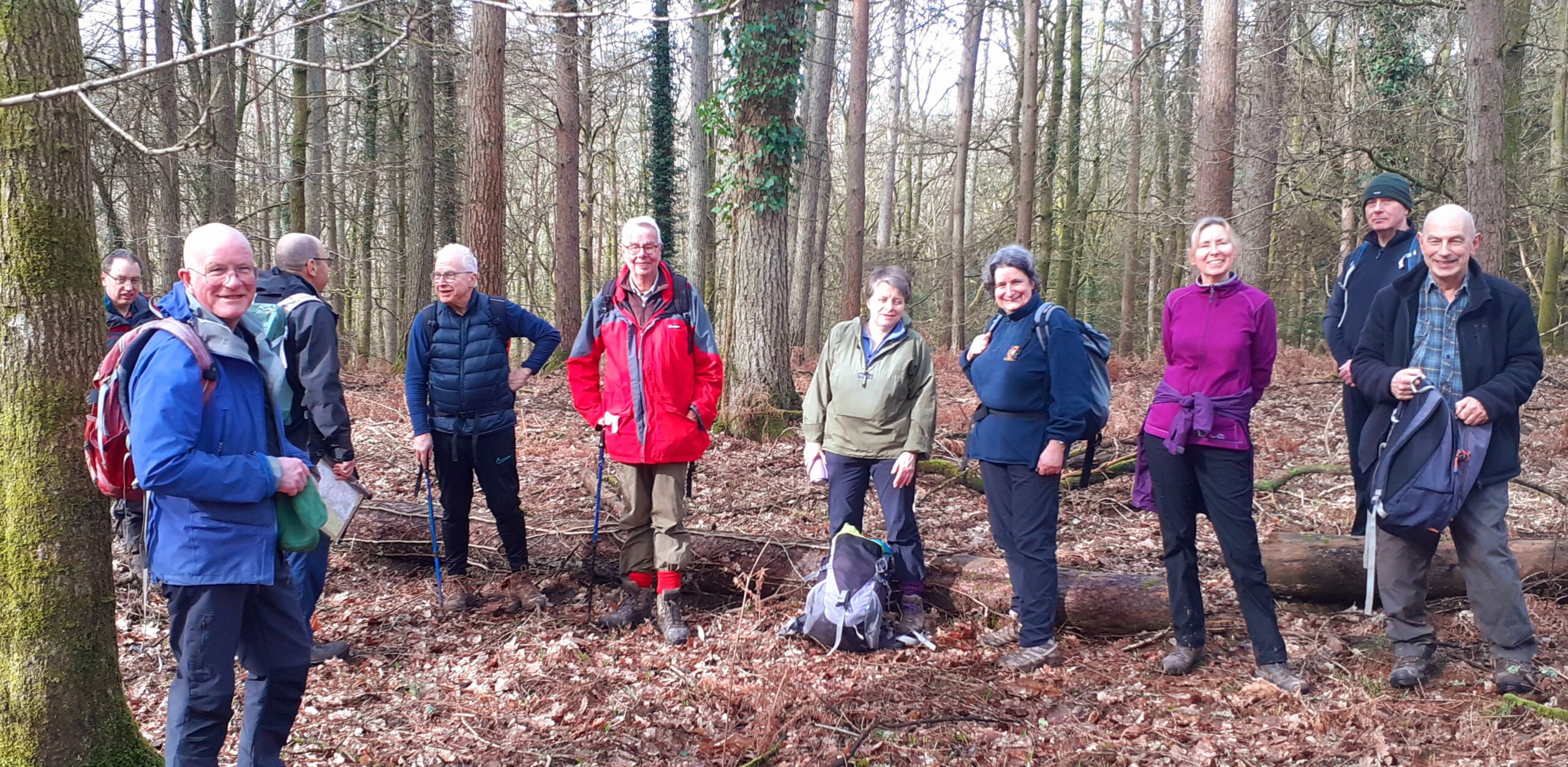 Walking in the Woods, Parkend to Mallards Pike