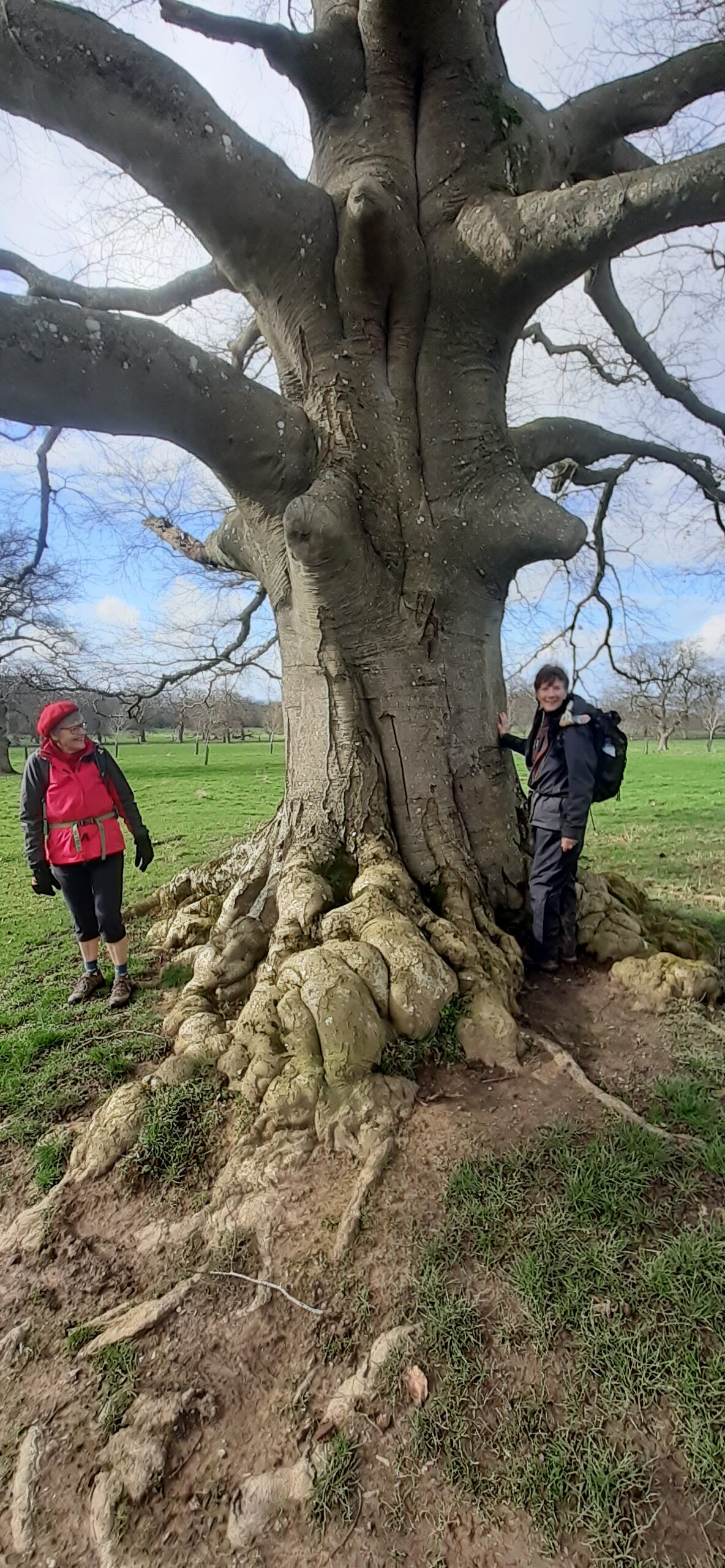 Snowshill and Stanway Walk