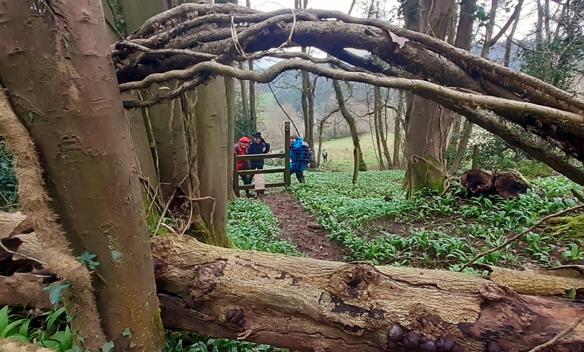 Littledean, Longhope and Flaxley Walk