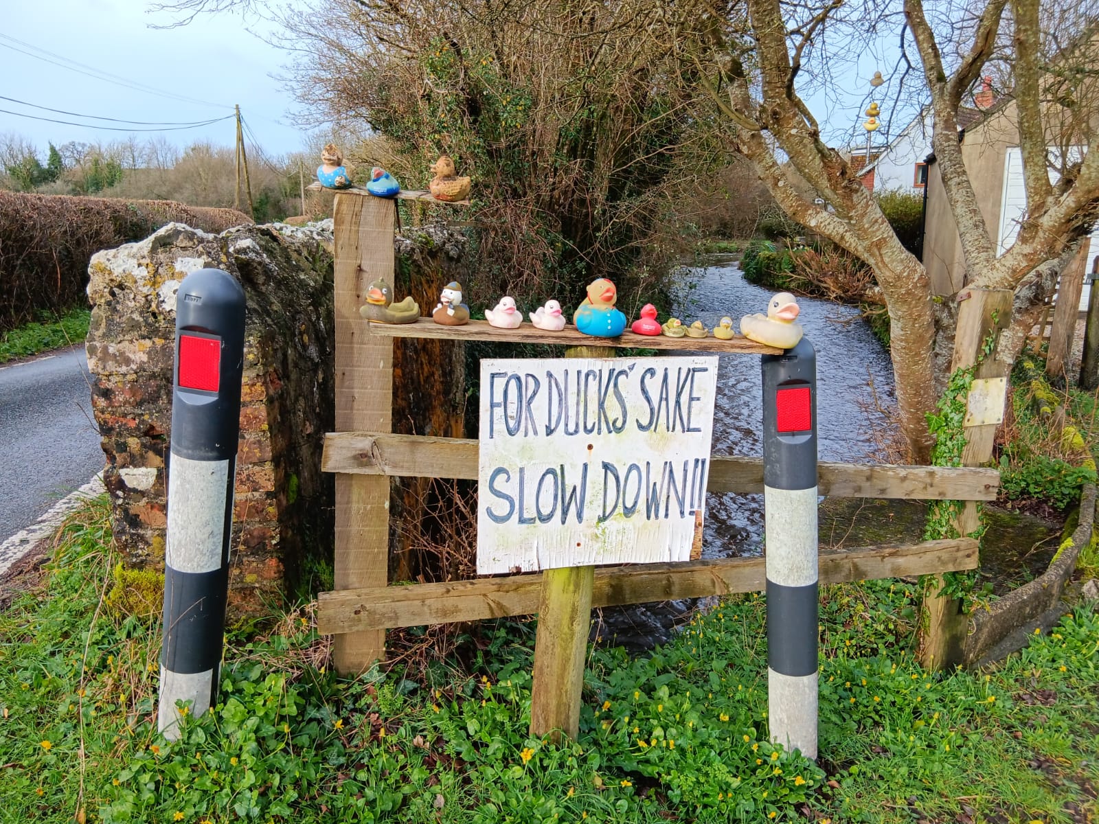 Dorset, the Final Walks