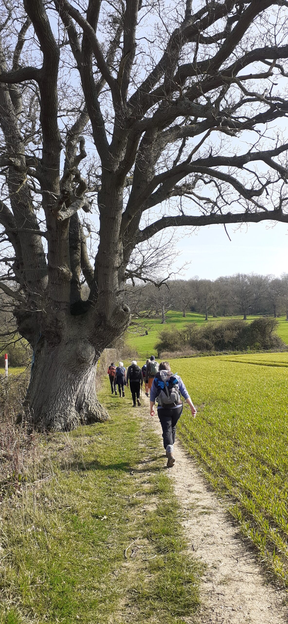 Winchcombe Way Walk, Part One