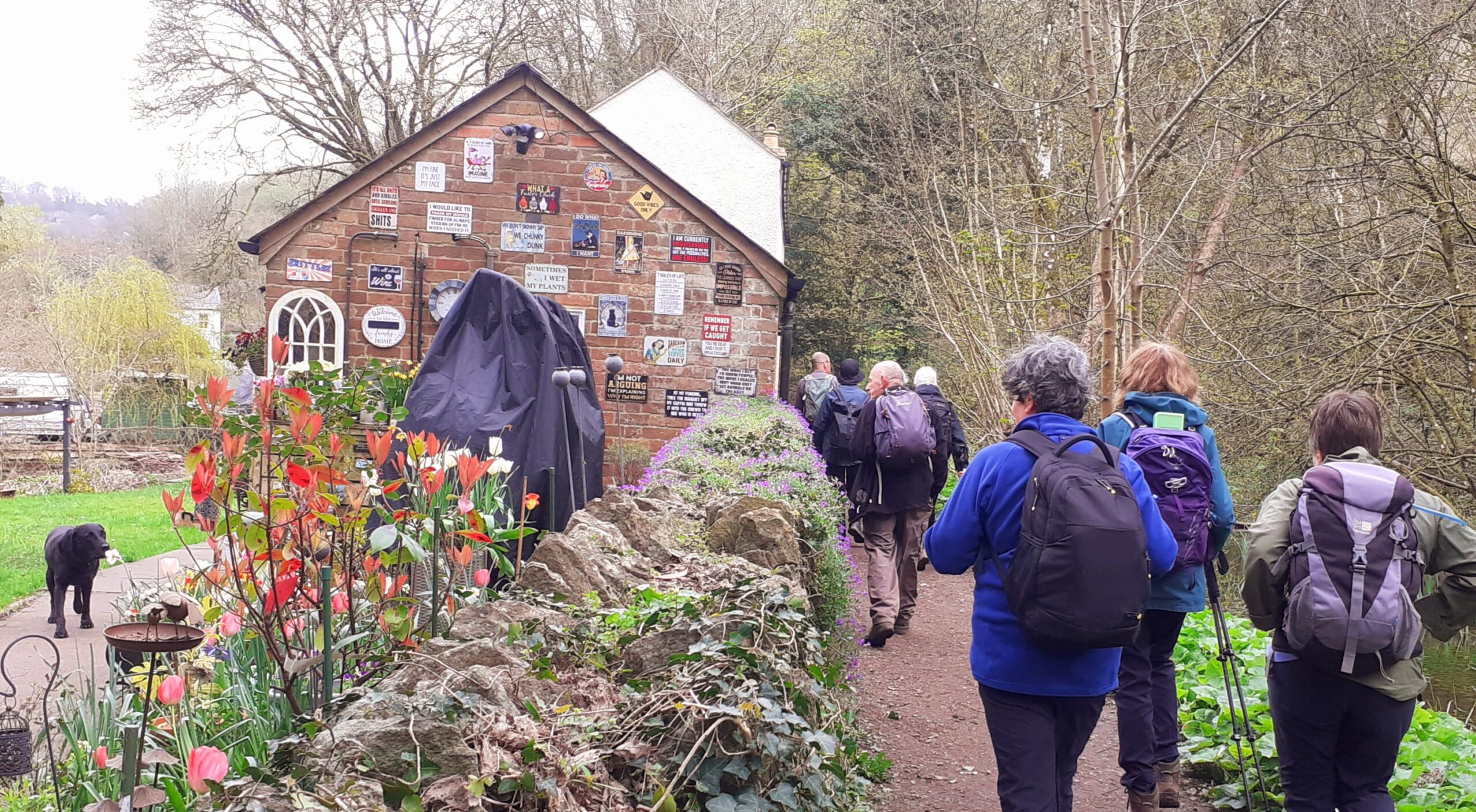 Toadsmoor Valley Walk