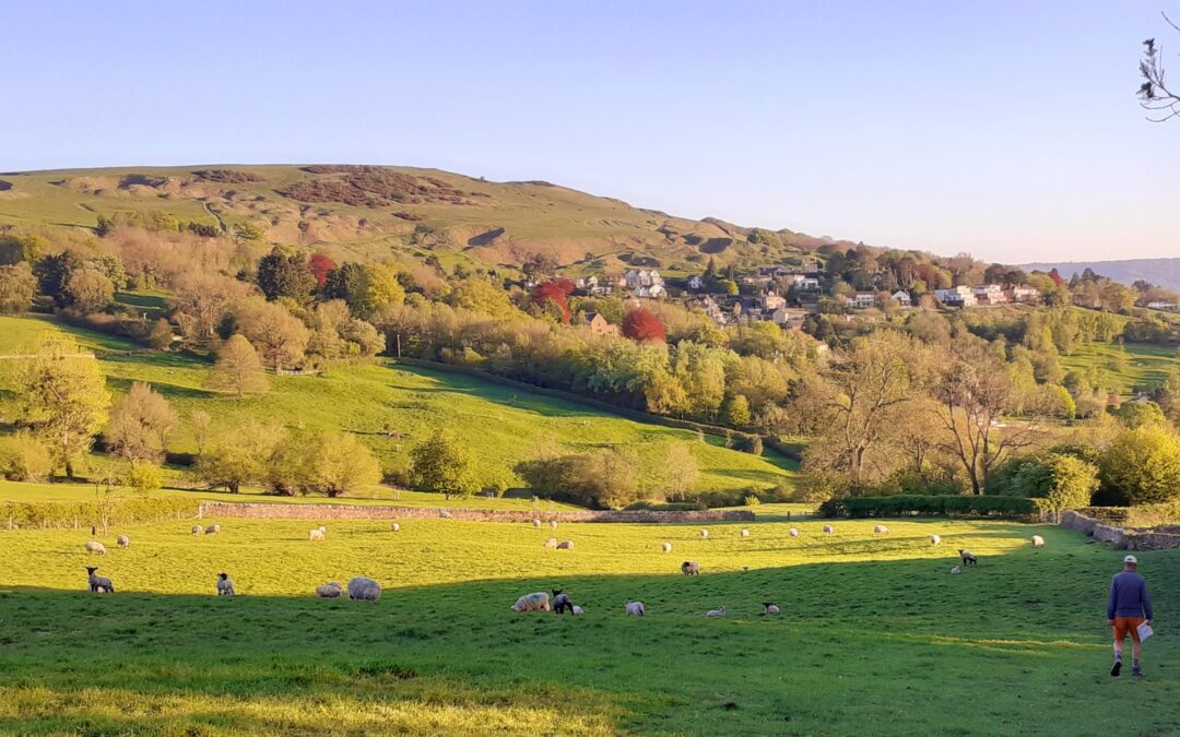 An Evening Walk on Cleeve Hill