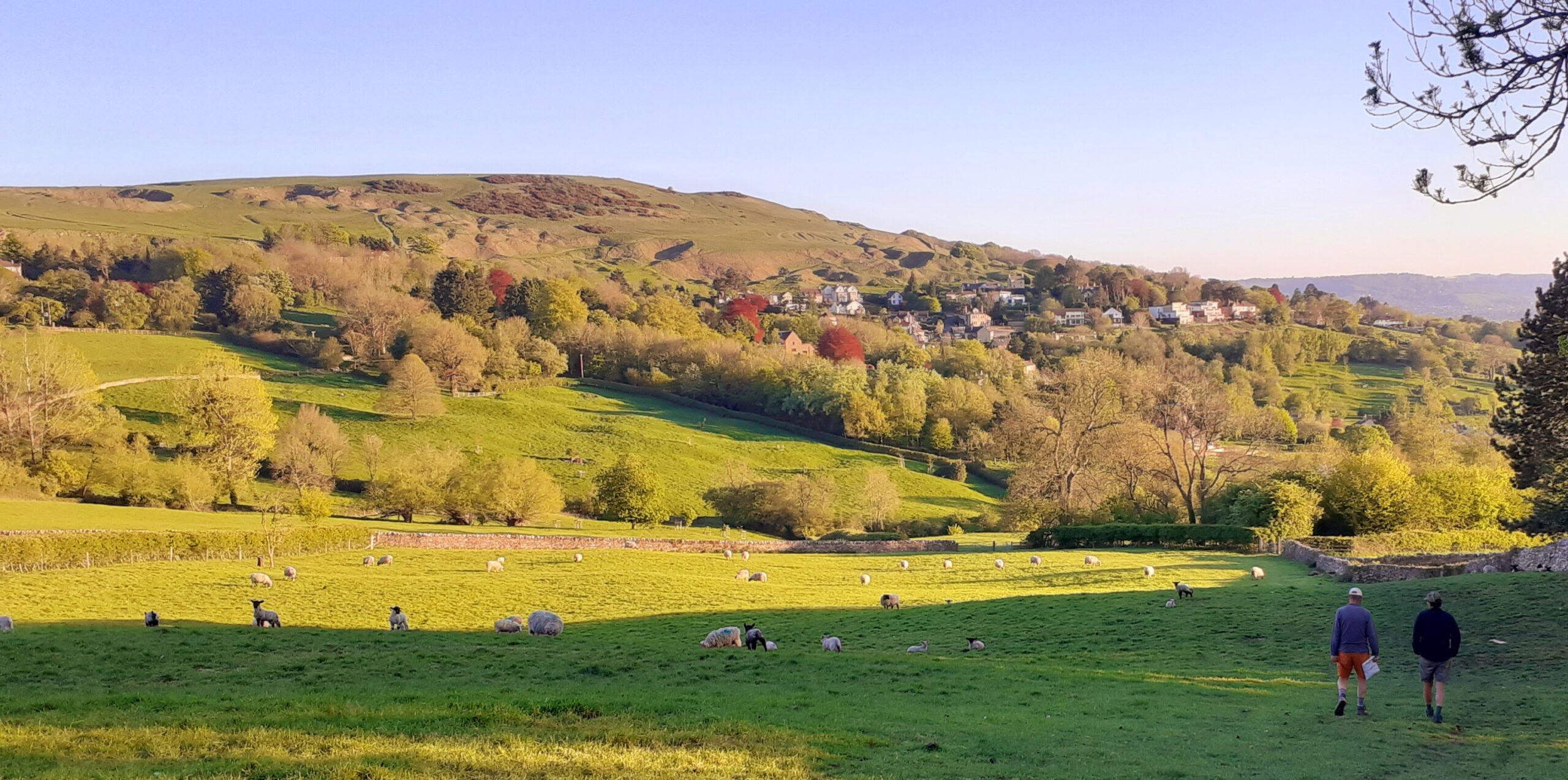 An Evening Walk on Cleeve Hill
