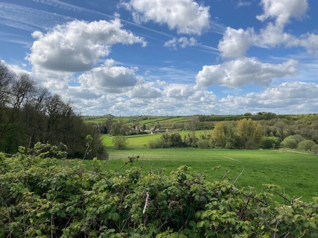 Bluebell Walk in the Coln Valley